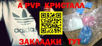 скорость Кингисепп
