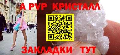 скорость Кингисепп