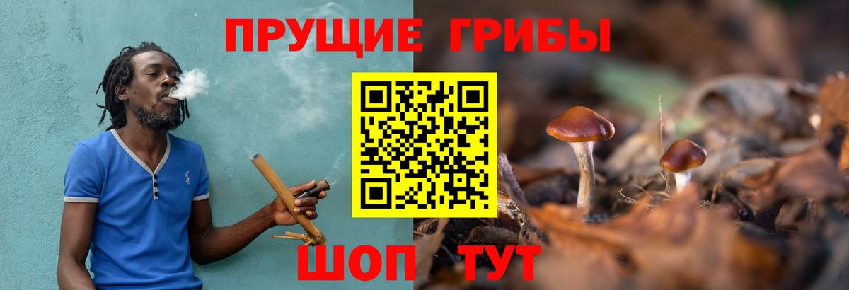 Галлюциногенные грибы Psilocybe Комсомольск-на-Амуре